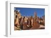 Hoodoos, on the Queens Garden Trail, Bryce Canyon National Park, Utah, United States of America-Richard Maschmeyer-Framed Photographic Print