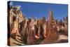 Hoodoos, on the Queens Garden Trail, Bryce Canyon National Park, Utah, United States of America-Richard Maschmeyer-Stretched Canvas