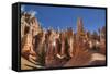 Hoodoos, on the Queens Garden Trail, Bryce Canyon National Park, Utah, United States of America-Richard Maschmeyer-Framed Stretched Canvas