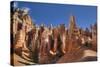 Hoodoos, on the Queens Garden Trail, Bryce Canyon National Park, Utah, United States of America-Richard Maschmeyer-Stretched Canvas