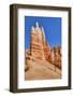 Hoodoos, on the Queens Garden Trail, Bryce Canyon National Park, Utah, United States of America-Richard Maschmeyer-Framed Photographic Print