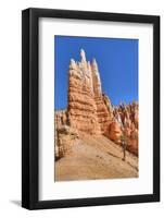 Hoodoos, on the Queens Garden Trail, Bryce Canyon National Park, Utah, United States of America-Richard Maschmeyer-Framed Photographic Print