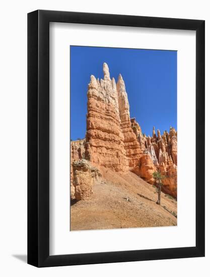 Hoodoos, on the Queens Garden Trail, Bryce Canyon National Park, Utah, United States of America-Richard Maschmeyer-Framed Photographic Print