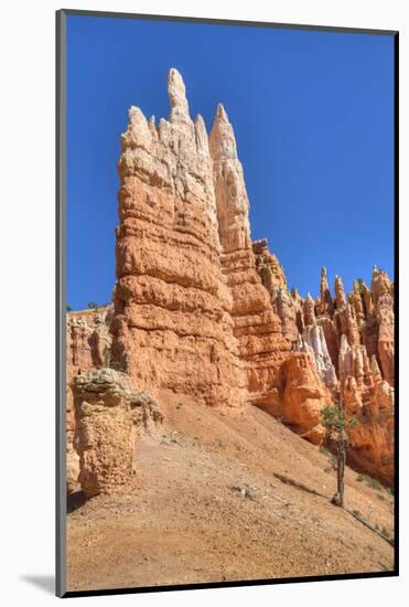 Hoodoos, on the Queens Garden Trail, Bryce Canyon National Park, Utah, United States of America-Richard Maschmeyer-Mounted Photographic Print