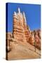 Hoodoos, on the Queens Garden Trail, Bryce Canyon National Park, Utah, United States of America-Richard Maschmeyer-Stretched Canvas