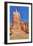 Hoodoos, on the Queens Garden Trail, Bryce Canyon National Park, Utah, United States of America-Richard Maschmeyer-Framed Photographic Print