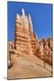 Hoodoos, on the Queens Garden Trail, Bryce Canyon National Park, Utah, United States of America-Richard Maschmeyer-Mounted Photographic Print