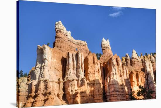 Hoodoos, on the Queens Garden Trail, Bryce Canyon National Park, Utah, United States of America-Richard Maschmeyer-Stretched Canvas