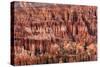 Hoodoos - Spires Created by Erosion - at Bryce Canyon National Park in Utah., 2019 (Photo)-Ira Block-Stretched Canvas