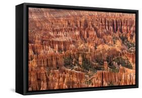 Hoodoos - Spires Created by Erosion - at Bryce Canyon National Park in Utah., 2019 (Photo)-Ira Block-Framed Stretched Canvas