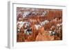 Hoodoos - Spires Created by Erosion - at Bryce Canyon National Park in Utah., 2019 (Photo)-Ira Block-Framed Giclee Print