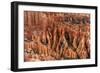 Hoodoos - Spires Created by Erosion - at Bryce Canyon National Park in Utah., 2019 (Photo)-Ira Block-Framed Giclee Print