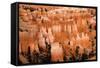 Hoodoos - Spires Created by Erosion - at Bryce Canyon National Park in Utah., 2019 (Photo)-Ira Block-Framed Stretched Canvas