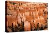 Hoodoos - Spires Created by Erosion - at Bryce Canyon National Park in Utah., 2019 (Photo)-Ira Block-Stretched Canvas