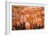 Hoodoos - Spires Created by Erosion - at Bryce Canyon National Park in Utah., 2019 (Photo)-Ira Block-Framed Giclee Print