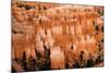 Hoodoos - Spires Created by Erosion - at Bryce Canyon National Park in Utah., 2019 (Photo)-Ira Block-Mounted Giclee Print