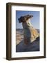 Hoodoos, Stud Horse Point, Arizona, Usa-Rainer Mirau-Framed Photographic Print