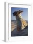 Hoodoos, Stud Horse Point, Arizona, Usa-Rainer Mirau-Framed Photographic Print