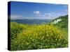 Hook Head Peninsula, County Wexford, Ireland-J P De Manne-Stretched Canvas