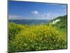 Hook Head Peninsula, County Wexford, Ireland-J P De Manne-Mounted Photographic Print