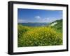 Hook Head Peninsula, County Wexford, Ireland-J P De Manne-Framed Photographic Print