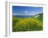 Hook Head Peninsula, County Wexford, Ireland-J P De Manne-Framed Photographic Print