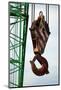 Hook on Construction Crane-Chris Henderson-Mounted Photographic Print