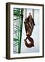 Hook on Construction Crane-Chris Henderson-Framed Photographic Print