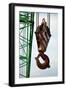 Hook on Construction Crane-Chris Henderson-Framed Photographic Print