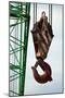 Hook on Construction Crane-Chris Henderson-Mounted Photographic Print