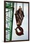 Hook on Construction Crane-Chris Henderson-Framed Photographic Print