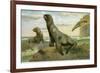 Hooker's Sea Lion-null-Framed Giclee Print