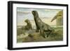 Hooker's Sea Lion-null-Framed Giclee Print