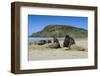 Hooker's Sea Lions (Phocarctos Hookeri) Colony-Michael-Framed Photographic Print