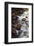 Hooksack River, Mount Baker-Snoqualmie National Forest, Washington, USA-Michel Hersen-Framed Photographic Print