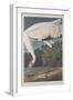 Hooping Crane, 1834-John James Audubon-Framed Giclee Print