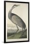 Hooping Crane, 1835-John James Audubon-Framed Giclee Print