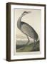 Hooping Crane, 1835-John James Audubon-Framed Giclee Print