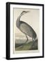 Hooping Crane, 1835-John James Audubon-Framed Giclee Print