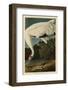 Hooping Crane-John James Audubon-Framed Giclee Print
