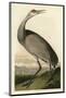 Hooping Crane-John James Audubon-Mounted Giclee Print
