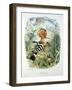 Hoopoe (Upupa Epops) (Colour Litho)-Edouard Travies-Framed Giclee Print