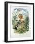 Hoopoe (Upupa Epops) (Colour Litho)-Edouard Travies-Framed Giclee Print