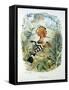 Hoopoe (Upupa Epops) (Colour Litho)-Edouard Travies-Framed Stretched Canvas