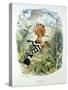 Hoopoe (Upupa Epops) (Colour Litho)-Edouard Travies-Stretched Canvas