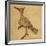 Hoopoe-Aristotle ibn Bakhtishu-Framed Giclee Print