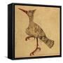 Hoopoe-Aristotle ibn Bakhtishu-Framed Stretched Canvas