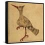 Hoopoe-Aristotle ibn Bakhtishu-Framed Stretched Canvas