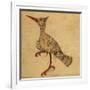 Hoopoe-Aristotle ibn Bakhtishu-Framed Giclee Print