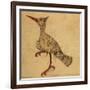 Hoopoe-Aristotle ibn Bakhtishu-Framed Giclee Print